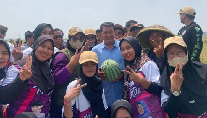 Calon Bupati Tangerang Maesyal Rasyid Panen Semangka Bersama Kawan Muda 17 dan Bincang Santai Bersama Petani Palawija