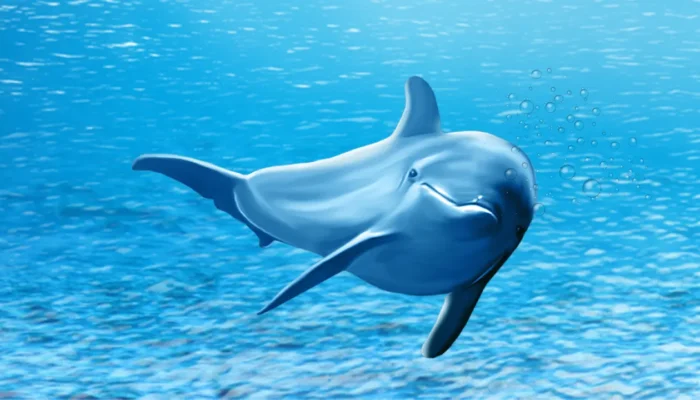 Berbeda dari Banyak Hewan Lainnya, Ikan Ini Tidur Sambil Berenang di Laut