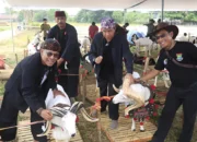 Sambut Hari Jadi ke-392 Kabupaten Tangerang, Komunitas Peternak Adu Kontes Domba Garut dan Ayam Kate di Tangerang Agro Festival