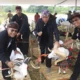 Tangerang Agro Festival