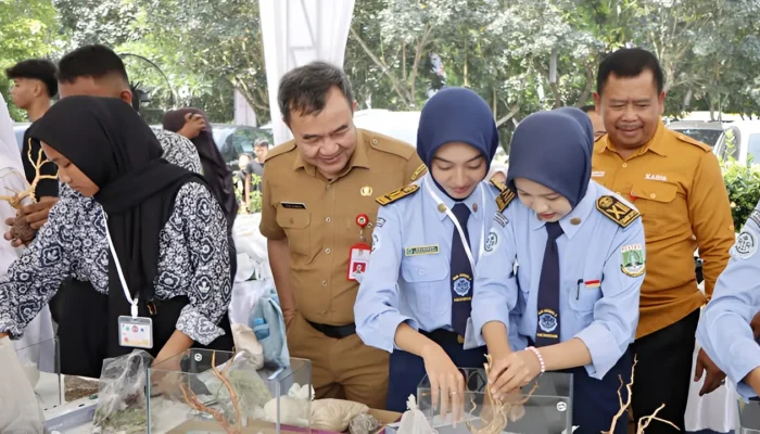 Lomba ‘Quick Setting Aquascape’ Ikan Hias Semarakkan HUT Kabupaten Tangerang ke-392