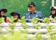 Temui Kelompok Wanita Tani, Pj Bupati Tangerang Tinjau Budidaya Hidroponik