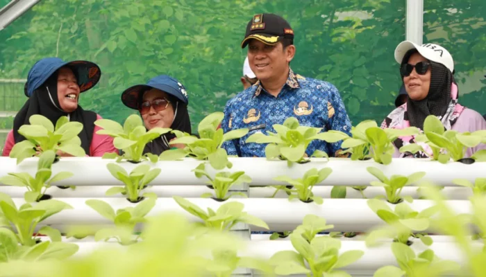 Temui Kelompok Wanita Tani, Pj Bupati Tangerang Tinjau Budidaya Hidroponik