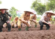 Desa Sondong Jadi Pusat Penanaman Jagung Serentak untuk Dukung Ketahanan Pangan Nasional