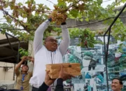 Kampung Anggur Jadi Sorotan Karena Bawa Dampak Positif, Camat Pasar Kemis Panen Anggur Impor di Kutabumi