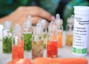 Pemkot Tangerang dan Tim Gabungan Pengawasan Keamanan Pangan Sambangi Pasar Bandeng, Hasil Tinjauan 92,59% Patuh