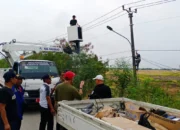 Tahun Ini, Pemerintah Kabupaten Tangerang Targetkan Pemasangan 1.486 PJU, 16 Ribu Titik Telah Terfasilitasi
