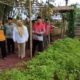 PAIS Foundation