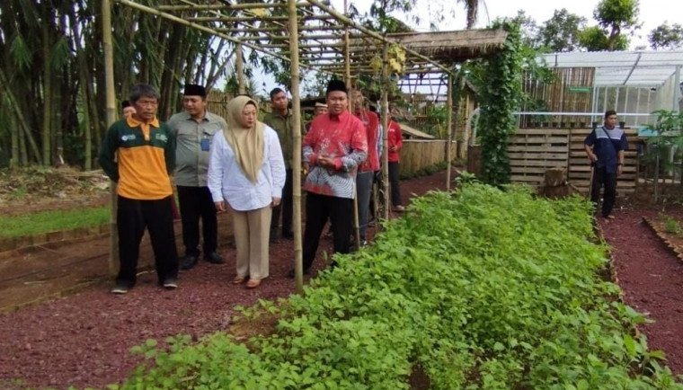 PAIS Foundation