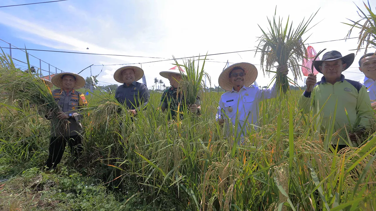 Panen Padi Serentak