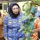 Desa Mekarsari