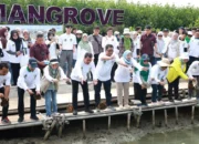 Peringati Hari Bumi 2025, Bupati Maesyal Bersama FORHATI-KAHMI Tanam 2.000 Mangrove di Ketapang Urban Aquaculture