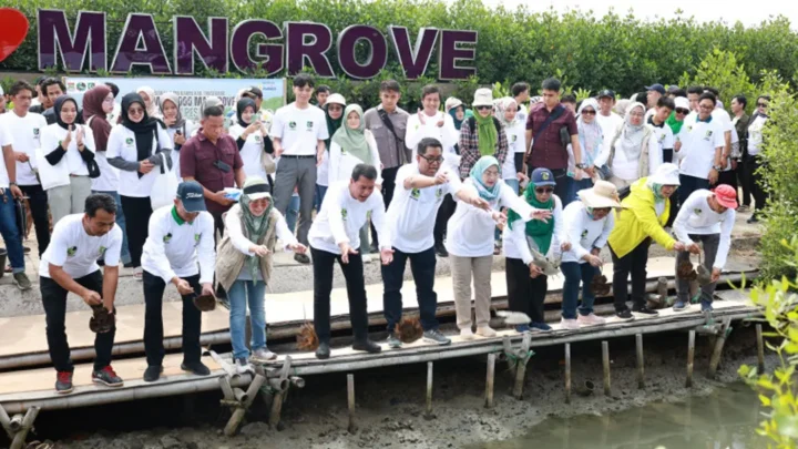 Peringati Hari Bumi 2025, Bupati Maesyal Bersama FORHATI-KAHMI Tanam 2.000 Mangrove di Ketapang Urban Aquaculture