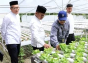 Layak Jadi Contoh! Wali Kota Sachrudin Sambangi TPU Swadaya & Food Estate Edukatif di Cipondoh 