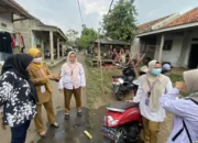 Nyamuk Kecil, Ancaman Besar! Puskesmas Sukatani Turun ke Lapangan, Sisir Jentik Nyamuk Aedes di Desa Daon