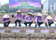 Sinergi Lintas Lembaga, Jaksa Garda Desa Resmi Diluncurkan di Sepatan untuk Wujudkan Ketahanan Pangan