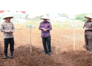 Bupati Tangerang dan Forkopimda Tanam Jagung Hibrida di Kampung Batu Tunggul, Panen Raya Serentak Kuartal II Nasional