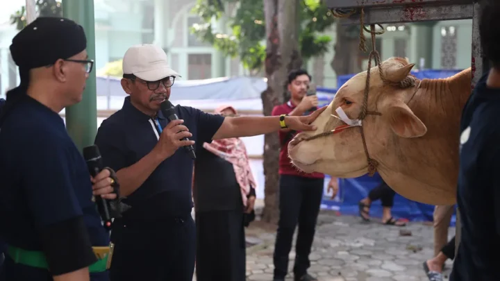 14 Sapi dan 2 Kambing Disembelih di Masjid Raya Al-A’zhom, 5.000 Paket Daging Dibagikan ke Warga