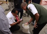 Bulog dan DPKP Kabupaten Tangerang Pastikan 131 Ton Beras Bantuan Sesuai Standar Nasional 