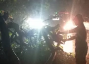 Sigap! Pemkot Tangerang Tertibkan Pohon Tumbang di Dua Lokasi Sekaligus