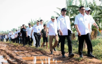 jalan rusak