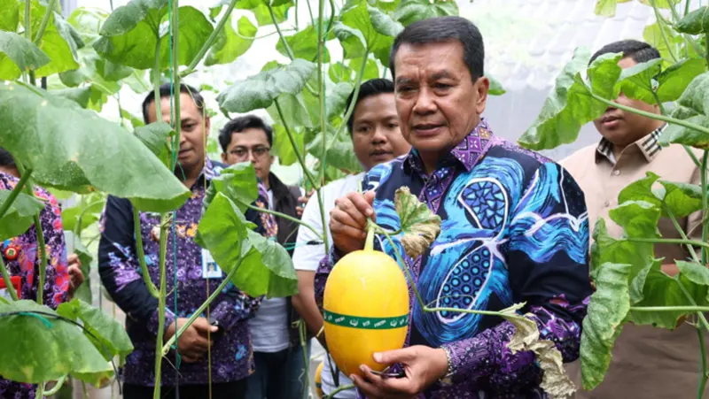 Melon Hidroponik Curug Wetan Dipanen, Bupati Dorong Petani Milenial