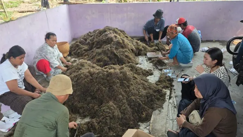 Pemkab Tangerang Gandeng BRIN, Uji Pupuk Organik untuk Tingkatkan Produktivitas Padi